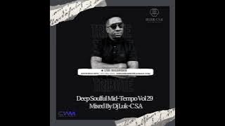Deep Soulful Mid-Tempo Vol 29 Mixed By Dj Luk-C S.A (Tribute To Ceega Wa Meropa)
