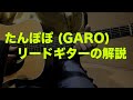 【たんぽぽ(GARO)(Dm Version)】 リードギターの解説