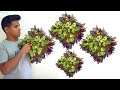wall planters//vertical gardening ideas//hanging plant pots//decoration