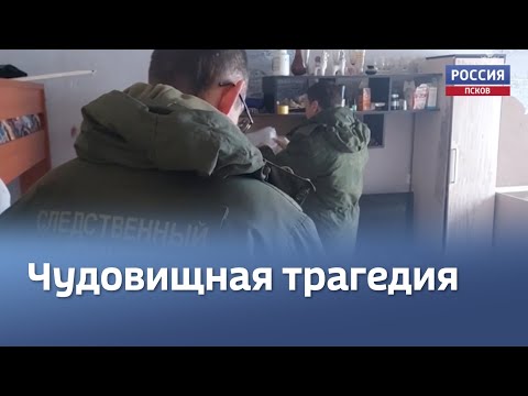 Многодетная мать - убийца? В Великих Луках идёт следствие по делу о гибели троих детей