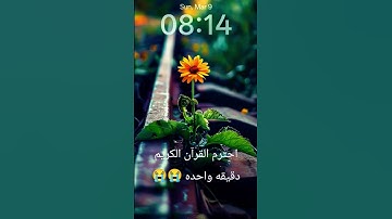 احترم القرآن الكريم دقيقه #quran