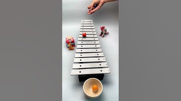 Relaxing Xylophone Ball Run Sound – So Satisfying! #asmr #asmrsounds
