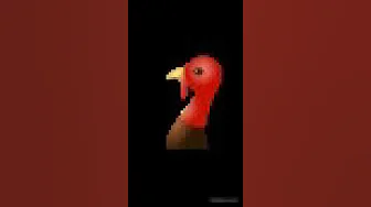 Turkey Gobble Sound Effect