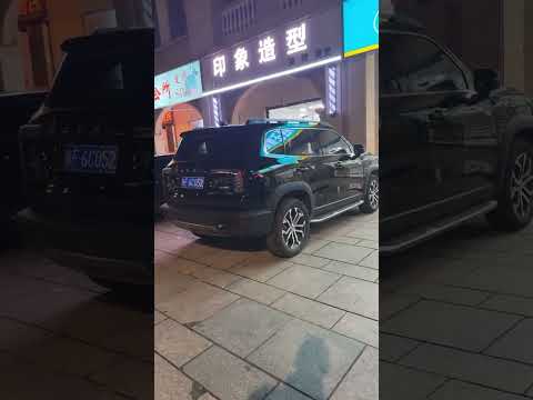 السيارات الصينيه في الصين