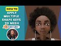 How To Apply Multiple Shape Keys To Mesh In Blender