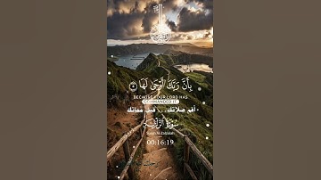 تلاوة خاشعة عطرة مباركة جميلة عذبة للشيخ سعد الغامدي سورة الزلزلة