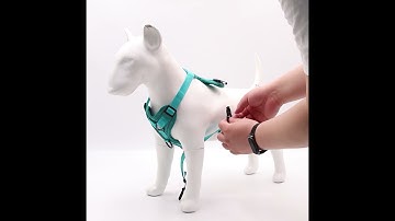 How to Wear the Omissa Reflective Dog Harness on your pets ?