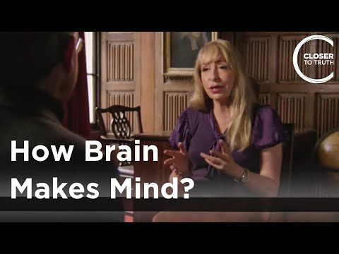 וִידֵאוֹ: איך אדם יכול להפיק תועלת מהתפלספות מוחית?