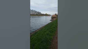 قل لااملك لنفسي ضرا ولانفعا #عبدالرحمن_مسعد #تلاوة_خاشعة #قرآن #islamic_video #quran #اكسبلور #ترند