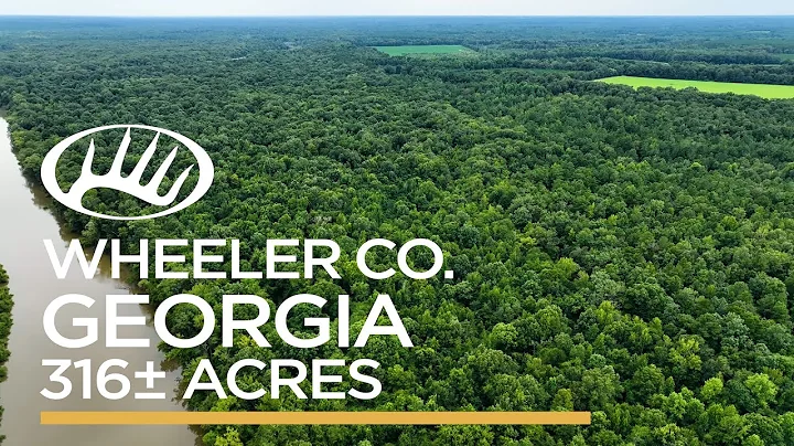 Wheeler County, GA 316± Acres