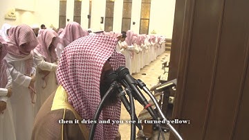 (ومغفرة من الله ورضوان) من روائع التلاوات للشيخ محمد اللحيدان