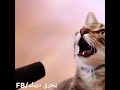 موال حزين جدا بصوت بسه موال حزين جدا بصوت بسه