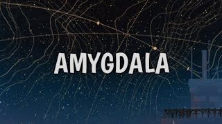 AMYGDALA - Agust D (Korean/Romaji/English Lyric Video)