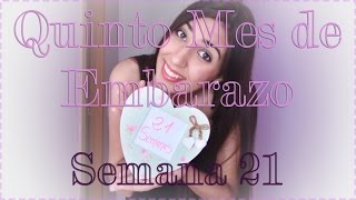 Mes 5  EMBARAZO Semana 21 |Ecografía morfológica|Una bebé muy fuerte!