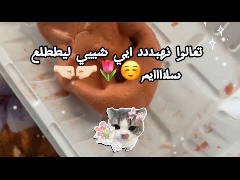تعالللواا نهبددد ايي شي ليطلع سلاايممم☺️🌷🤛🏻🤜🏻@مالي_خلق_احط_هاشتاق@جيش_جيجيي