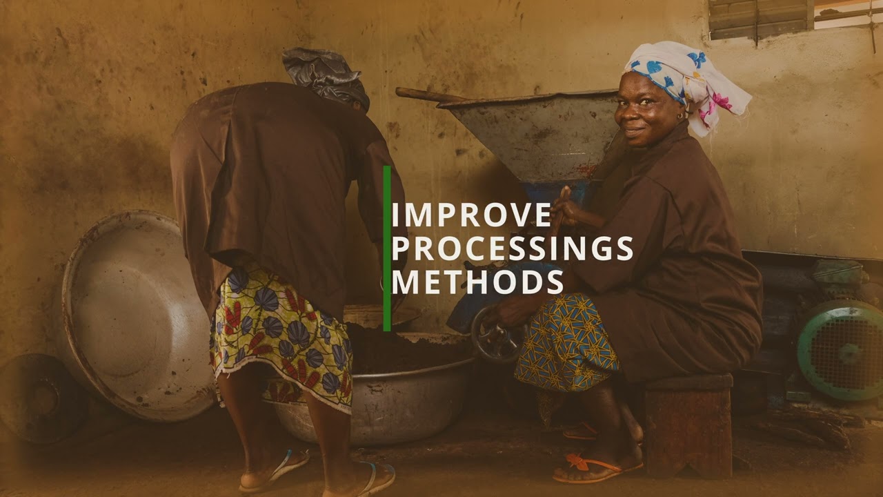 Savannah Fruits Company - A shea butter story