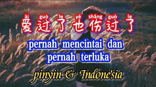 ai guo le ye shang guo le 过了也伤过了pernah mencintai dan pernah terluka Teks Indonesia & Pinyin