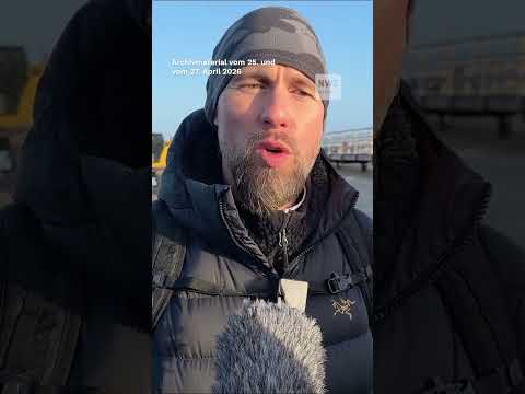 Buckelwal soll  zum Wegschwimmen animiert werden