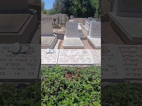 חיים הופנברג – קברי קרב טירה בתל מונד (2)