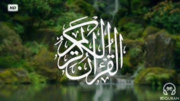 قرآن كريم بصوت مشاري العفاسي | حالات واتس اب دينية