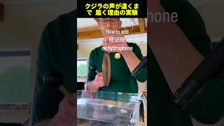 クジラの声が遠くまで 届く理由の実験