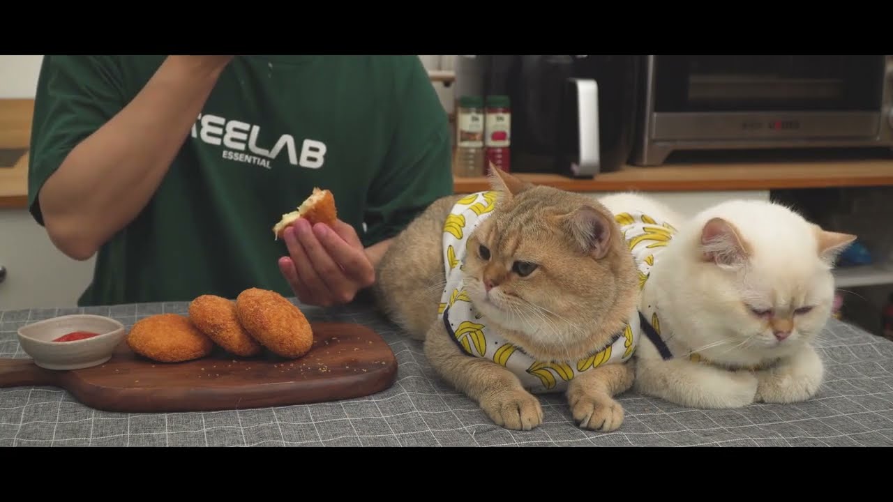 EVDE EN KOLAY NUGGET TARİFİ İ!!!BU TARİFİ KAÇIRMA! PRATİK YEMEK TARİFLERİ(3)