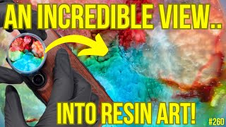 #260. This IS CRAZY! Petri Art From BELOW The Surface Is So MAGICAL!
