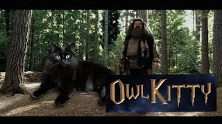 Harry Potter - Starring My Cat Owlkitty