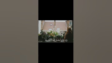 سورة إبراهيم [٣٤] #استغفر_الله #قرآن #اللهم_صل_وسلم_على_نبينا_محمد #explore#fyp#viral