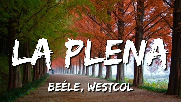 Beéle, Westcol, Ovy On The Drums - LA PLENA (W Sound 05) (Letra/Lyrics)