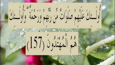 القران الكريم سورة البقرة الاية 157