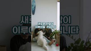 삼재가끝나는 세가지띠2 #2024년 #띠별운세 #운세 #삼재띠 #좋은일  #삼재  #용띠 #원숭이띠  #쥐띠…