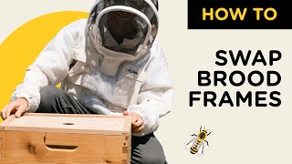 How to swap out brood frames