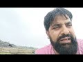 Water chestnut in wullar lake......