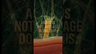 Why Wrinkles Really Happen | What Happens to Collagen and Elastin as You Age | Biology of Wrinkles