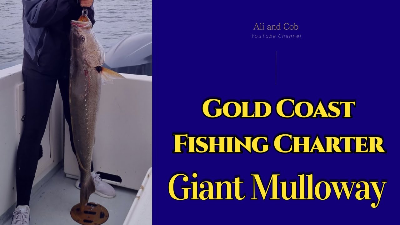 Gold Coast Fishing Charter | Giant Mulloway