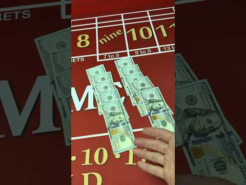 Experience thrilling games 24x7 & outstanding entertainment only at Majestic Pride Casino