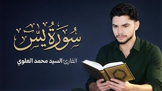 سورة يس | القارئ سيد محمد العلوي#القرآن_الكريم #قرآن_كريم#اكسبلور #المصحف #لايك #quran#ترند #explore
