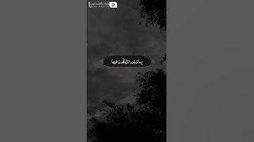 رَبَّنا هَب لَنا مِن أَزواجِنا وَذُرِّيّاتِنا قُرَّةَ أَعيُن || القارئ محمد الجوعي