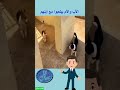 سبحان الله أب وأم من الكلاب بيلعبوا مع إبنهم