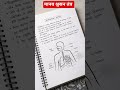 Respiratory System (श्वसन तंत्र) | UPSC &amp; UPPSC Science Notes | Easy Explanation + Diagram