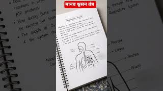 Respiratory System (श्वसन तंत्र) | UPSC &amp; UPPSC Science Notes | Easy Explanation + Diagram