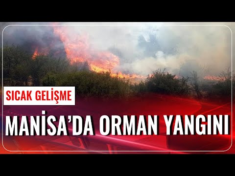 Manisa'da Orman Yangını | Haber Aktif