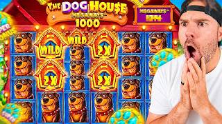 All It Takes Is ONE SPIN On Dog House 1000…