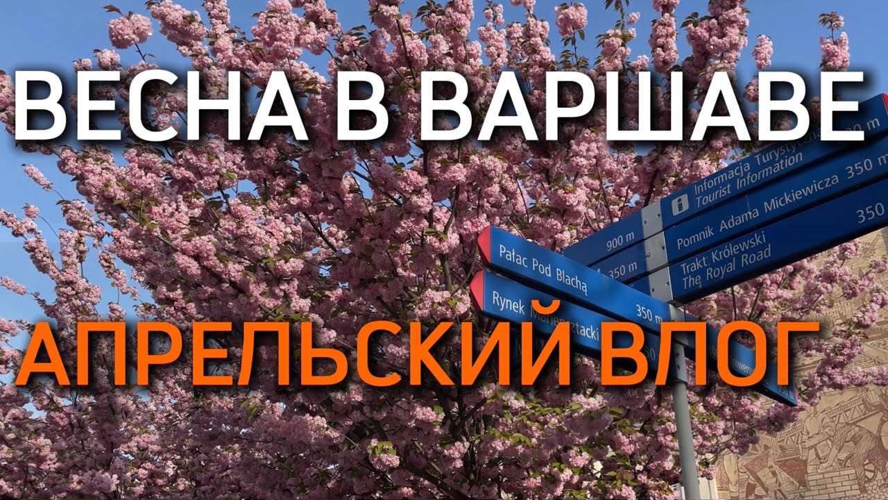 Весенний влог из Варшавы: район Прага, новый пешеходный мост, старый ...