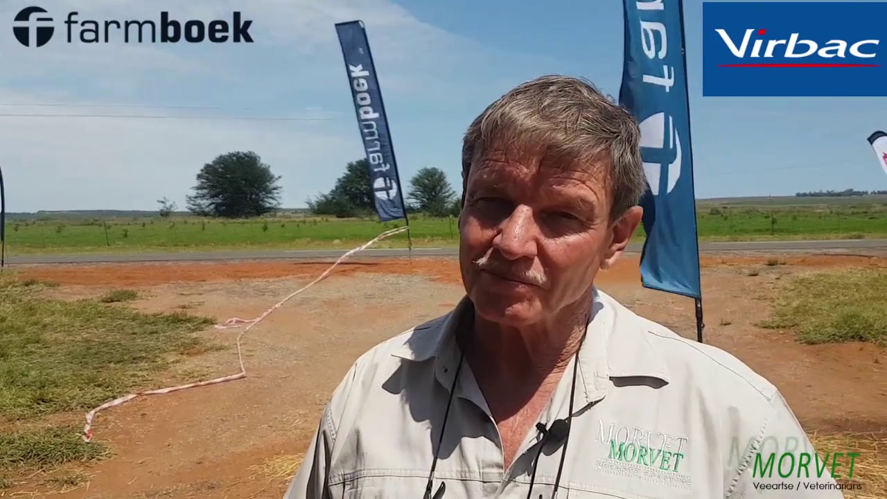 Dr Martin Ferreira   Bek en klouseer
