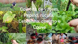 DA HORTA PARA A MESA/A RECOMPENSA DO TRABALHO É ESSA/COMIDA DE VERDADE