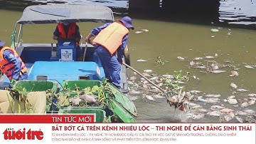 Bắt bớt cá trên kênh Nhiêu Lộc – Thị Nghè để cân bằng sinh thái