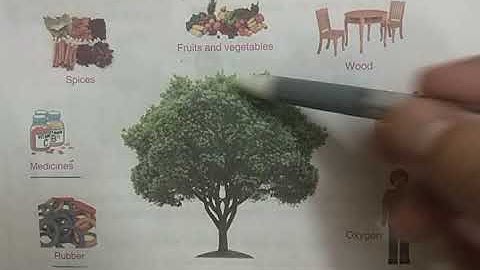 DAV Nahan Class-III Science Revision (Lesson-4, Part-1)