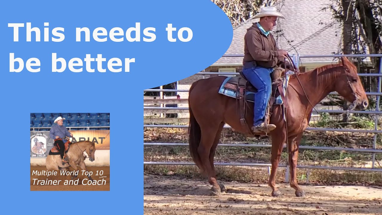 Exercises that help your horse stop better YouTube